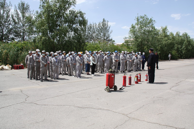 1655428979510074.jpg 3.jpg